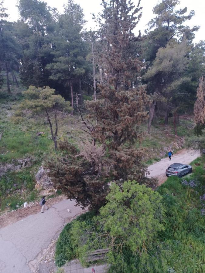 Apartament Ένα Μέρος Για Ήσυχες Διακοπές Janina Zewnętrze zdjęcie